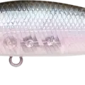 Ghost Minnow
