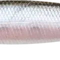 Pearl Ghost Minnow
