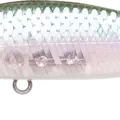 MS Ghost Minnow