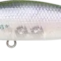 Silver Cheek Ghost Minnow