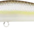 Chartreuse Shad