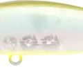Golden Ghost Minnow