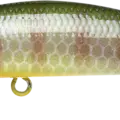 BE Gill