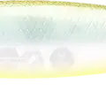 Golden Ghost Minnow