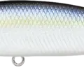 Pearl Threadfin Shad