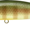 BE Gill
