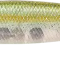 Flake Flake Golden Sexy Minnow