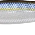 Pearl Threadfin Shad