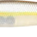 Chartreuse Shad
