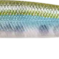 Flake Flake Golden Sexy Minnow