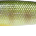 BE Gill