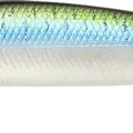 Live Threadfin Shad