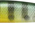 Flake Flake Golden Sun Fish