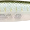 Live Ghost Minnow