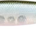 NC Ghost Minnow