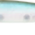 NC Ghost Minnow