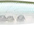 Silver Side Ghost Minnow
