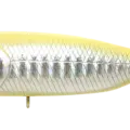 Bone Shad