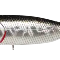 BP Golden Shiner