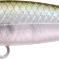 Ghost Minnow