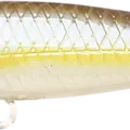 Chartreuse Shad