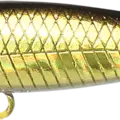 Aurora Gold