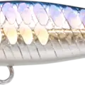 MS American Shad