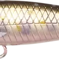 Pearl Char Shad - Pearl Iwana