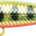 YPRR ~Yellow Pink Red Rainbow