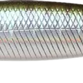 Misty Shad