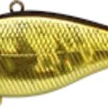 Aurora Gold