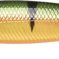 Northern Yellow Perch