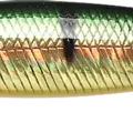 Aurora Gold Nothern Perch