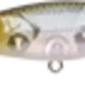 Ghost Minnow