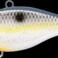 Sexy Chartreuse Shad