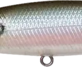 Pearl Ghost Minnow