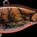 TO Brown Craw