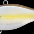Chartreuse Shad