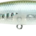 Silver Cheek Ghost Minnow