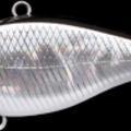 Bait Fish Silver