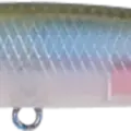 Ghost Minnow