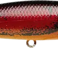 Spring Craw
