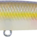 Chartreuse Shad