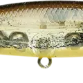 Magic Craw
