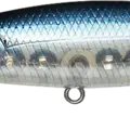 Ghost Blue Shad
