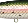 Laser Rainbow Trout
