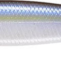 Pearl Threadfin Shad