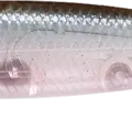 Ghost Minnow