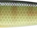 BE Gill