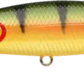 Northern Yellow Perch